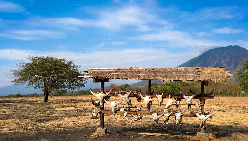 Taman Nasional Baluran (Afrika Van Java)